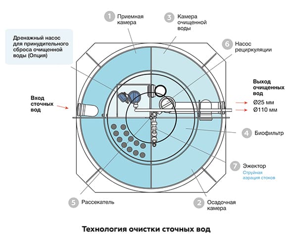 Евролос БИО